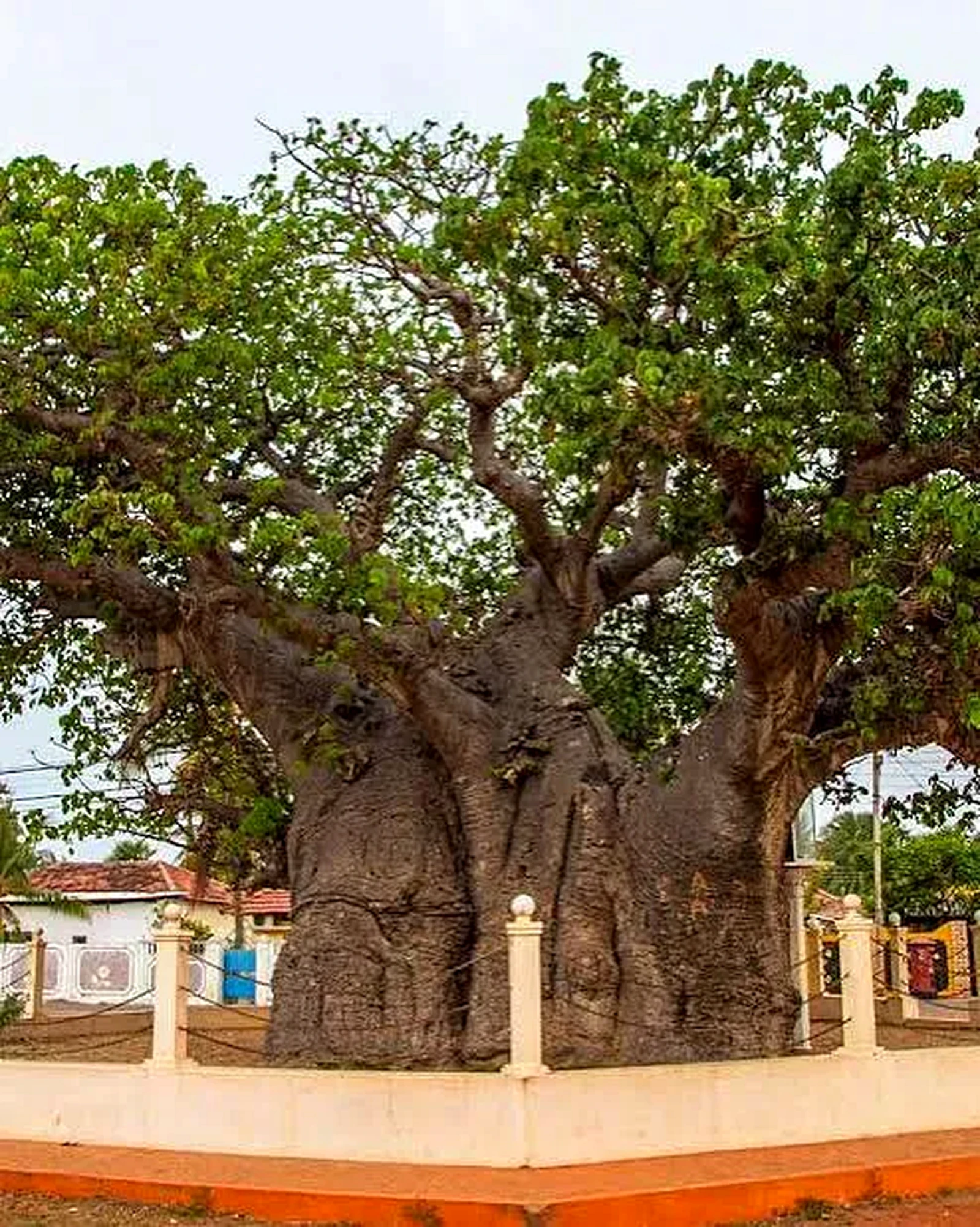 Mannar