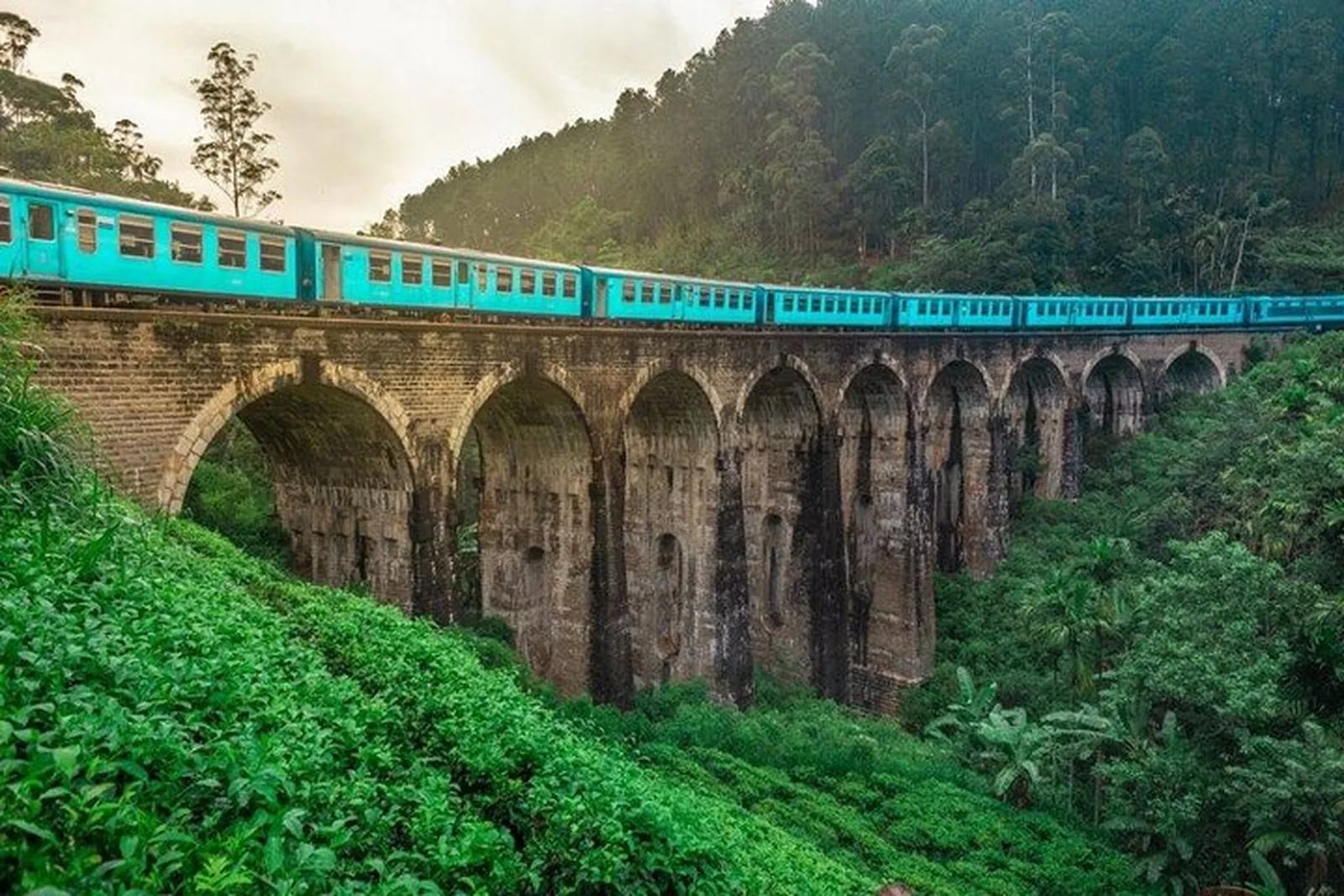 Sri Lanka Experiences
